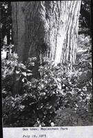 Photo only available in the library